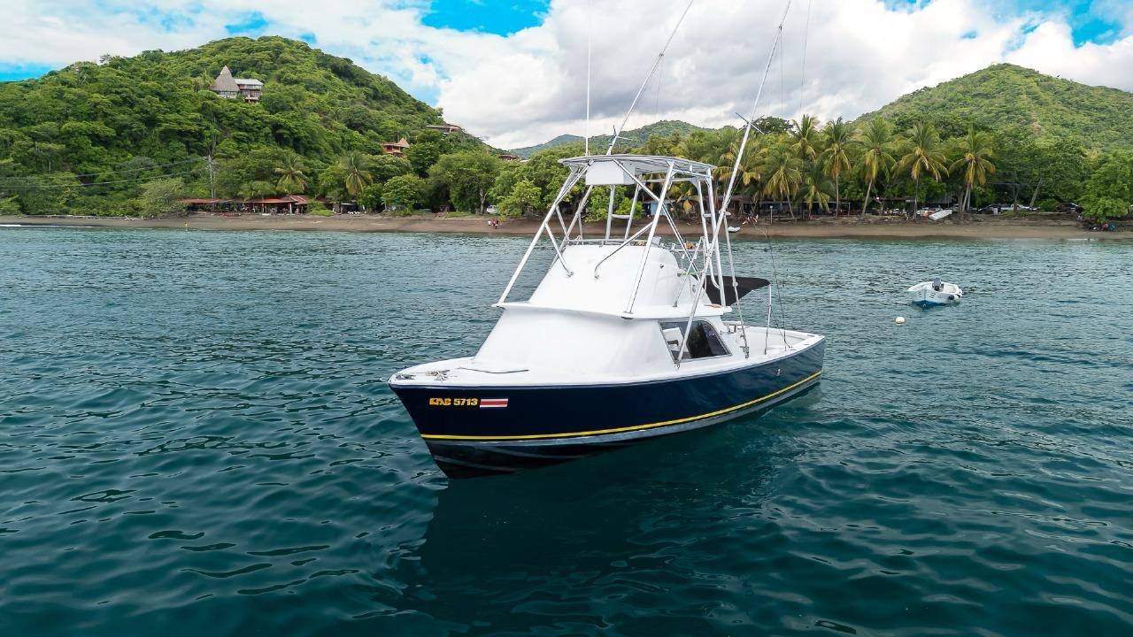 31' Bertram Classic