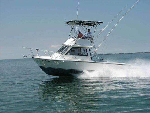 31' Island Hopper