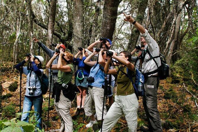 Birdwatching Tour