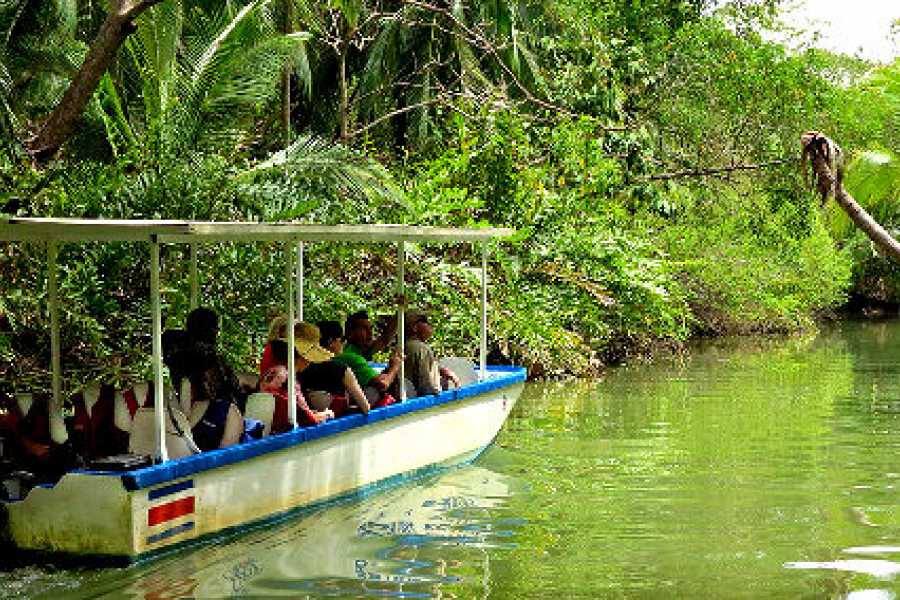 Estuary Boat Tour
