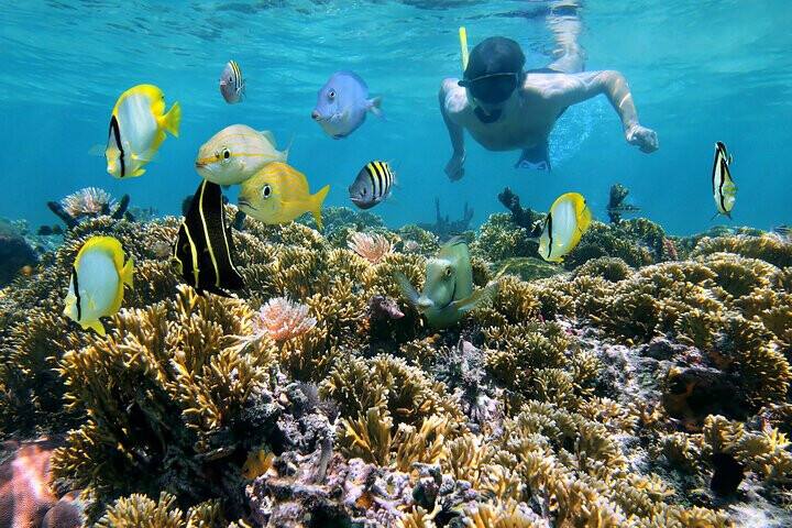 Snorkeling